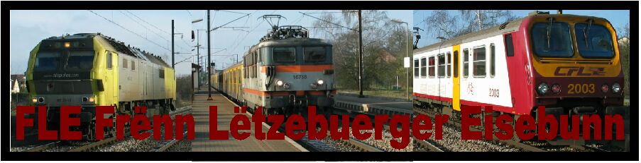 www.trainweb.org/fle/